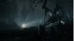 Blair Witch XBOX / WINDOWS [ Игровой Ключ 🔑 Код ]