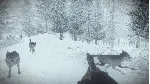 Kona (Steam Key Region Free / GLOBAL) - irongamers.ru