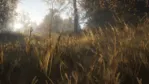 theHunter: Call of the Wild STEAM КЛЮЧ РФ+МИР / РУССКИЙ ЯЗЫК