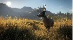 🟢 theHunter: Call of the Wild ( Region Free ) 🟢 