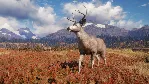 🟢 theHunter: Call of the Wild ( Region Free ) 🟢 