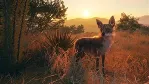 theHunter: Call of the Wild™ - Rancho Del Arroyo XBOX🔑 