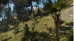 theHunter™ Call of the Wild - Te Awaroa National XBOX🔑 