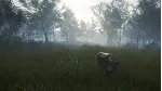 theHunter™ Call of the Wild - Te Awaroa National XBOX🔑 