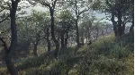 theHunter™: Call of the Wild - Parque Fernando XBOX 🔑 