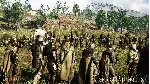 Mortal Online 2 АВТОДОСТАВКА STEAM РОССИЯ - irongamers.ru