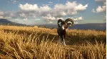 theHunter™: Call of the Wild - Cuatro Colinas XBOX 🔑 