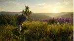 theHunter™: Call of the Wild - Cuatro Colinas XBOX 🔑 
