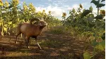 theHunter™: Call of the Wild - Cuatro Colinas XBOX 🔑 