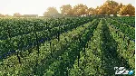 Farming Simulator 22 АВТОДОСТАВКА STEAM GIFT РОССИЯ - irongamers.ru