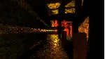 A Wolf in Autumn (Steam key / Region Free)
