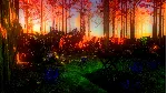 A Wolf in Autumn (Steam key / Region Free)