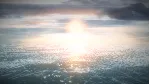 A Wolf in Autumn STEAM KEY REGION FREE GLOBAL ROW + 🎁 