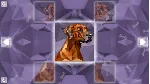 Poly Puzzle: Dogs (Steam key/Region free) - irongamers.ru