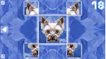 Poly Puzzle: Dogs (Steam key/Region free) - irongamers.ru