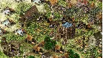 Stronghold Kingdoms Starter Pack DLC STEAM РОССИЯ АВТОДОСТАВКА МГНОВЕННО ЛИЦЕНЗИЯ