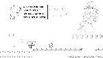 Mess Adventures 2 АВТОДОСТАВКА STEAM GIFT RU - irongamers.ru