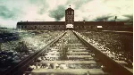 The Dark Inside Me 💎 АВТОДОСТАВКА STEAM GLOBAL МГНОВЕННО ЛИЦЕНЗИЯ