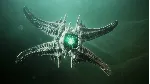 Destiny 2: Королева-ведьма XBOX ONE SERIES X|S Ключ - irongamers.ru