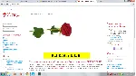 500RUB - Сертификат оплаты на сайте PERMROZA.RU