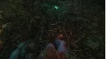 The Cursed Forest АВТОДОСТАВКА STEAM GLOBAL МГНОВЕННО ЛИЦЕНЗИЯ