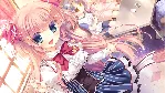 The logic of the miniature garden Artbook DLC STEAM KEY
