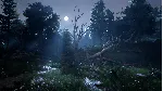 The Forest  ОНЛАЙН (БЕЗ АКТИВАТОРА / STEAM  АККАУНТ)