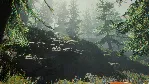 The Forest  ОНЛАЙН (БЕЗ АКТИВАТОРА / STEAM  АККАУНТ)
