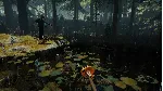 Sons Of The Forest + The Forest ОНЛАЙН \STEAM АККАУНТ