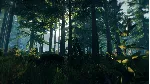 Sons Of The Forest + The Forest ОНЛАЙН \STEAM АККАУНТ