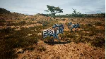 Animalia Survival АВТОДОСТАВКА STEAM GLOBAL МГНОВЕННО ЛИЦЕНЗИЯ - irongamers.ru