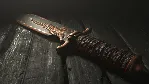 Hunt: Showdown 1896 - Fire Fight DLC АВТОДОСТАВКА STEAM РОССИЯ - irongamers.ru