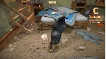 I am Bread АВТОДОСТАВКА STEAM GIFT РОССИЯ - irongamers.ru
