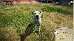 Animal Shelter АВТОДОСТАВКА STEAM РОССИЯ - irongamers.ru