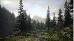 Alan Wake Franchise АВТОДОСТАВКА STEAM GLOBAL МГНОВЕННО ЛИЦЕНЗИЯ