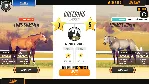 Rival Stars Horse Racing Desktop Edition STEAM РОССИЯ - irongamers.ru