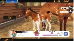 Rival Stars Horse Racing Desktop Edition STEAM РОССИЯ - irongamers.ru