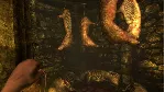 🎮 🔥 AMNESIA: COLLECTION XBOX ONE / SERIES X|S🔑 КЛЮЧ🔥 