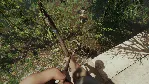 The Forest STEAM Россия - irongamers.ru