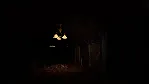 🎁 DAMNED (Steam)(RU/ CIS)