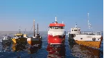 Fishing: Barents Sea - Line and Net Ships DLC STEAM - irongamers.ru