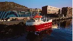 Fishing: Barents Sea - Line and Net Ships DLC STEAM - irongamers.ru