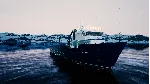 Fishing: Barents Sea - King Crab DLC STEAM GIFT РОССИЯ - irongamers.ru