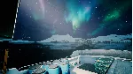 Fishing: Barents Sea - King Crab DLC STEAM GIFT РОССИЯ - irongamers.ru