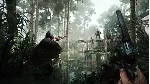 Hunt: Showdown STEAM Россия - irongamers.ru