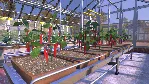 Farmer's Dynasty 💎 АВТОДОСТАВКА STEAM GLOBAL МГНОВЕННО ЛИЦЕНЗИЯ