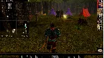 Neverwinter Nights Wyvern Crown of Cormyr Premium Modul - irongamers.ru