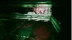 PREDATOR AND WRECK 捕食者と崩壊 АВТОДОСТАВКА STEAM GLOBAL МГНОВЕННО ЛИЦЕНЗИЯ - irongamers.ru