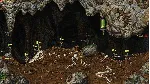 Cortex Command АВТОДОСТАВКА STEAM GLOBAL МГНОВЕННО ЛИЦЕНЗИЯ