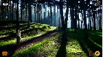 Lost in Paradise АВТОДОСТАВКА STEAM GLOBAL МГНОВЕННО ЛИЦЕНЗИЯ